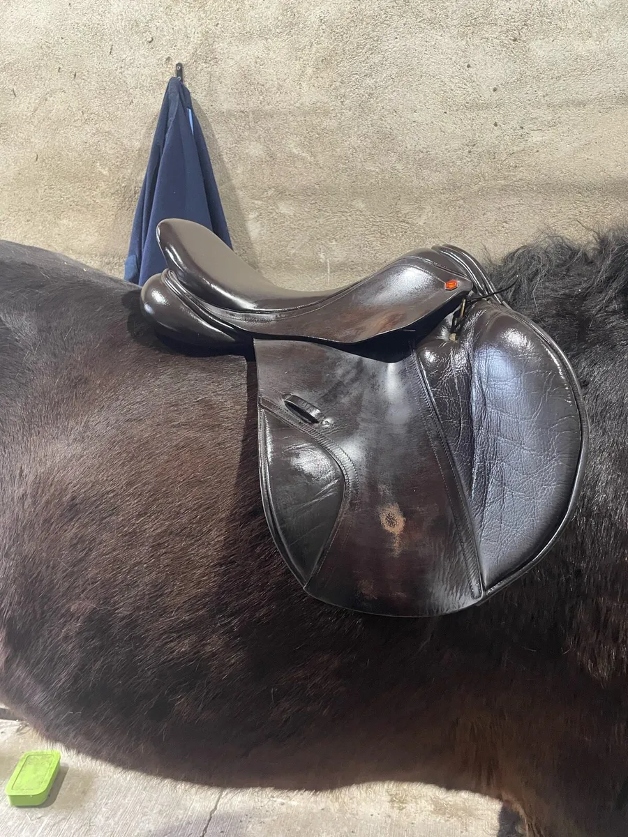 17.2” wide Albion saddle - Image 1