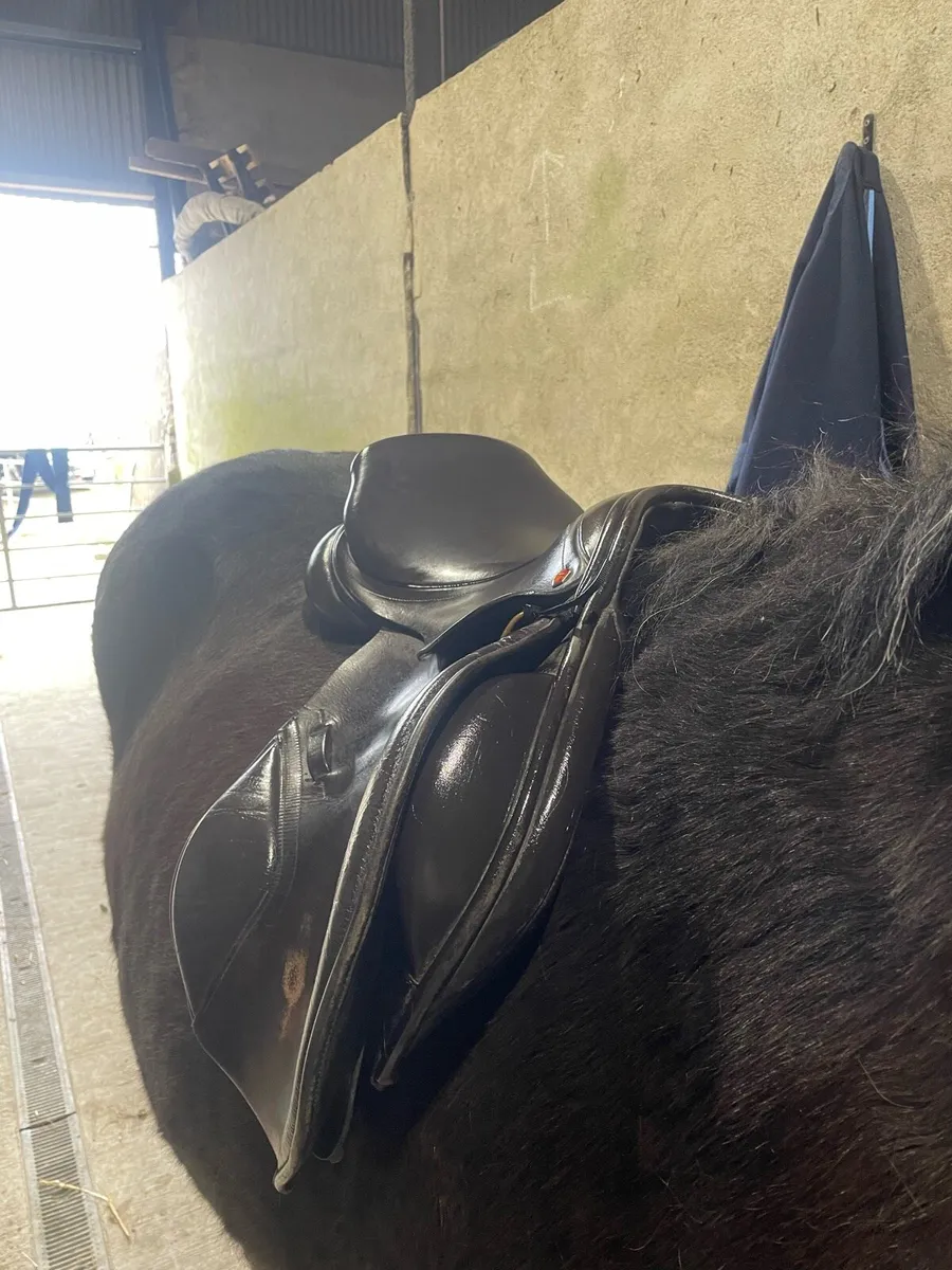 17.2” wide Albion saddle - Image 2