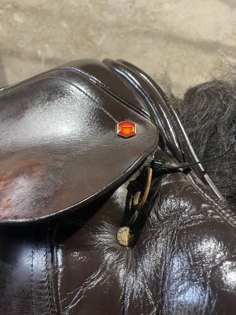 17.2” wide Albion saddle - Image 4
