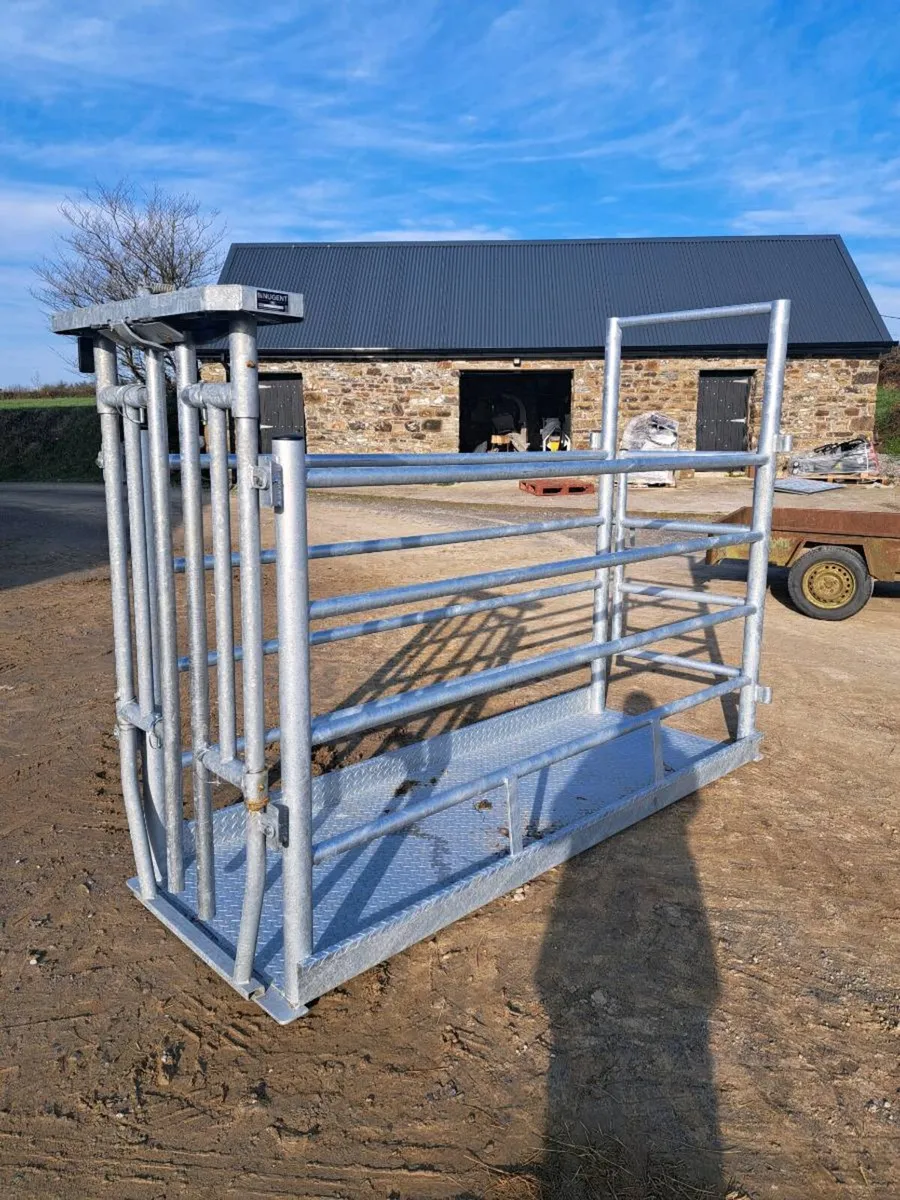 Cattle Crush - with scales - Image 1