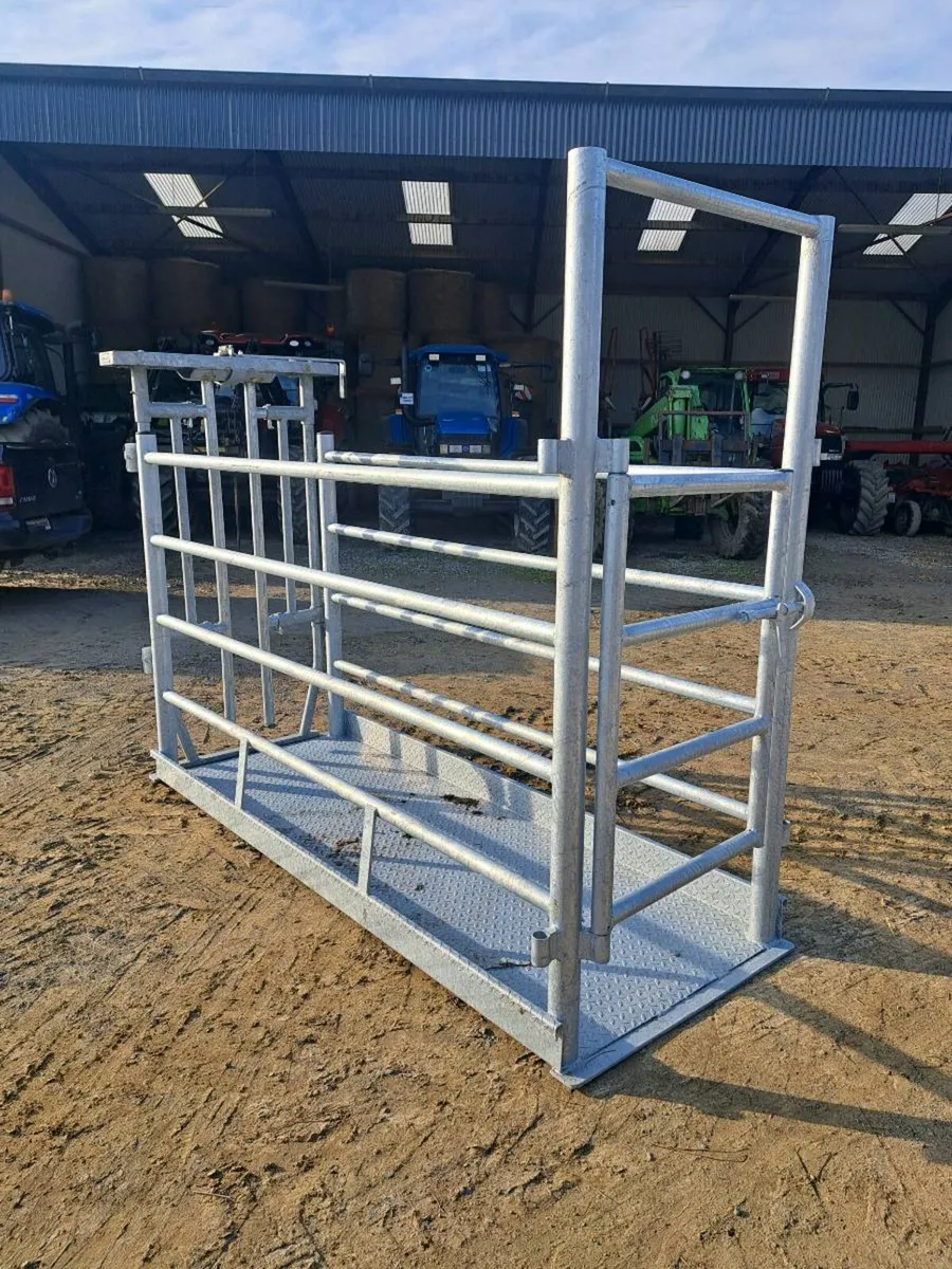 Cattle Crush - with scales - Image 3