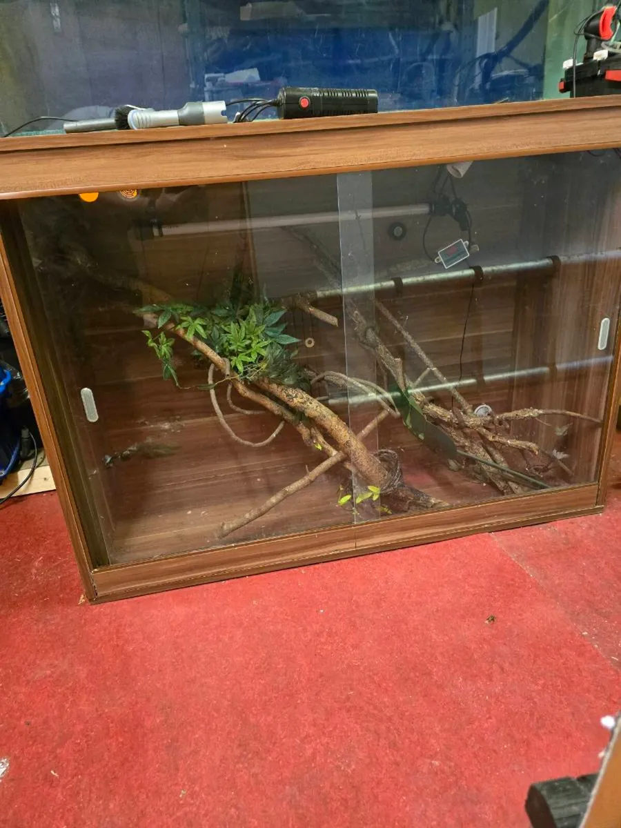 X large vivarium glass doors - Image 1