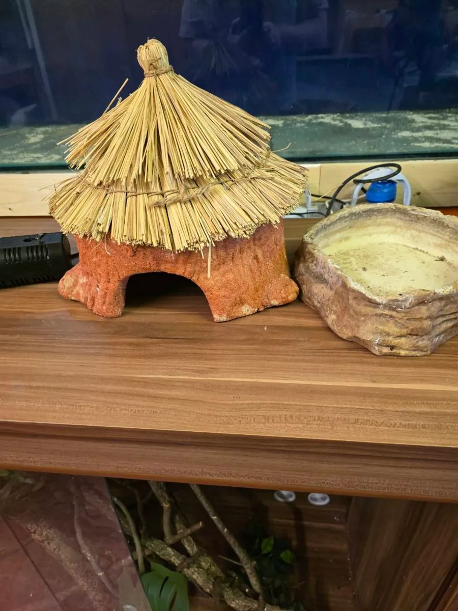 X large vivarium glass doors - Image 2