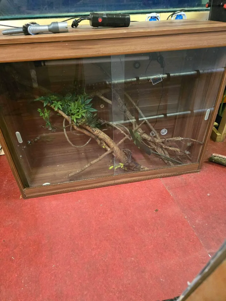 X large vivarium glass doors - Image 3