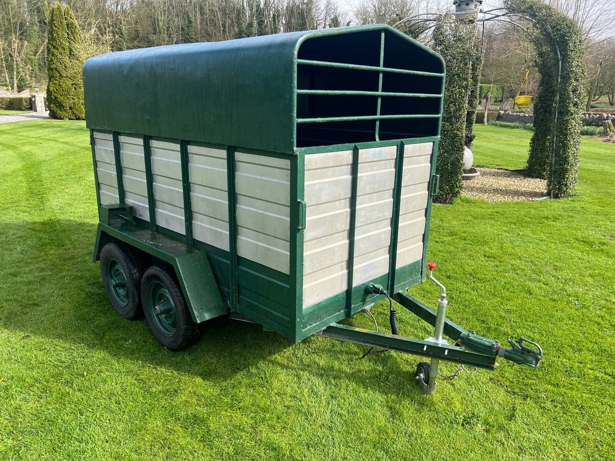 8x4 cow box - Image 1