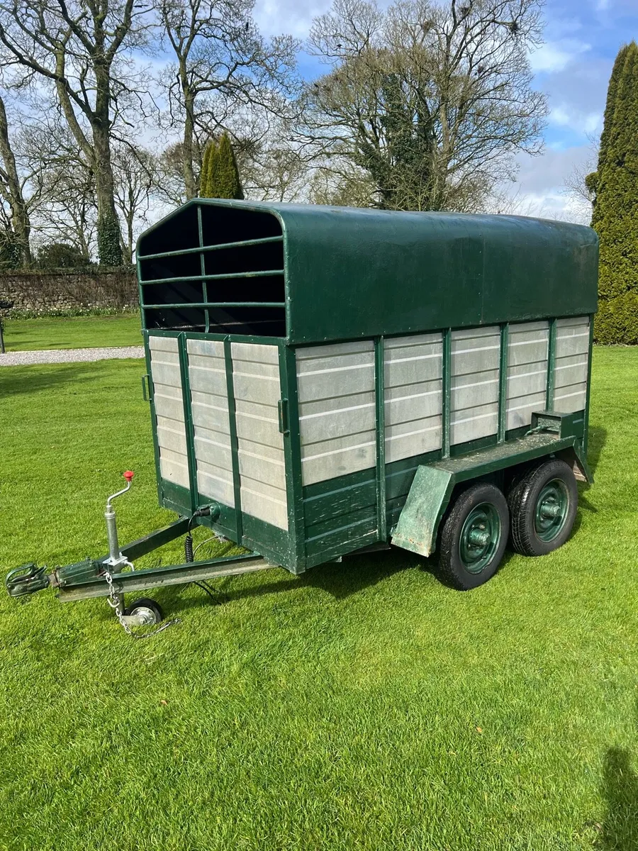 8x4 cow box - Image 2