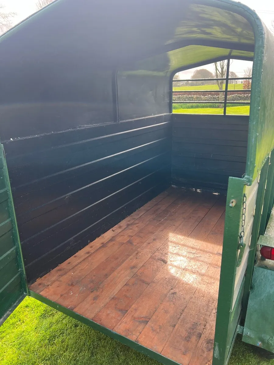 8x4 cow box - Image 3