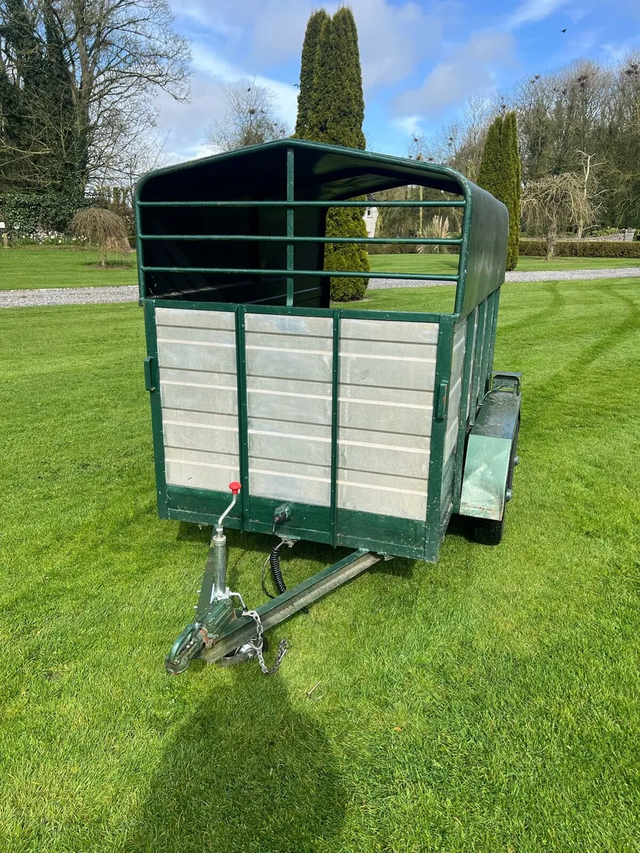 8x4 cow box - Image 4