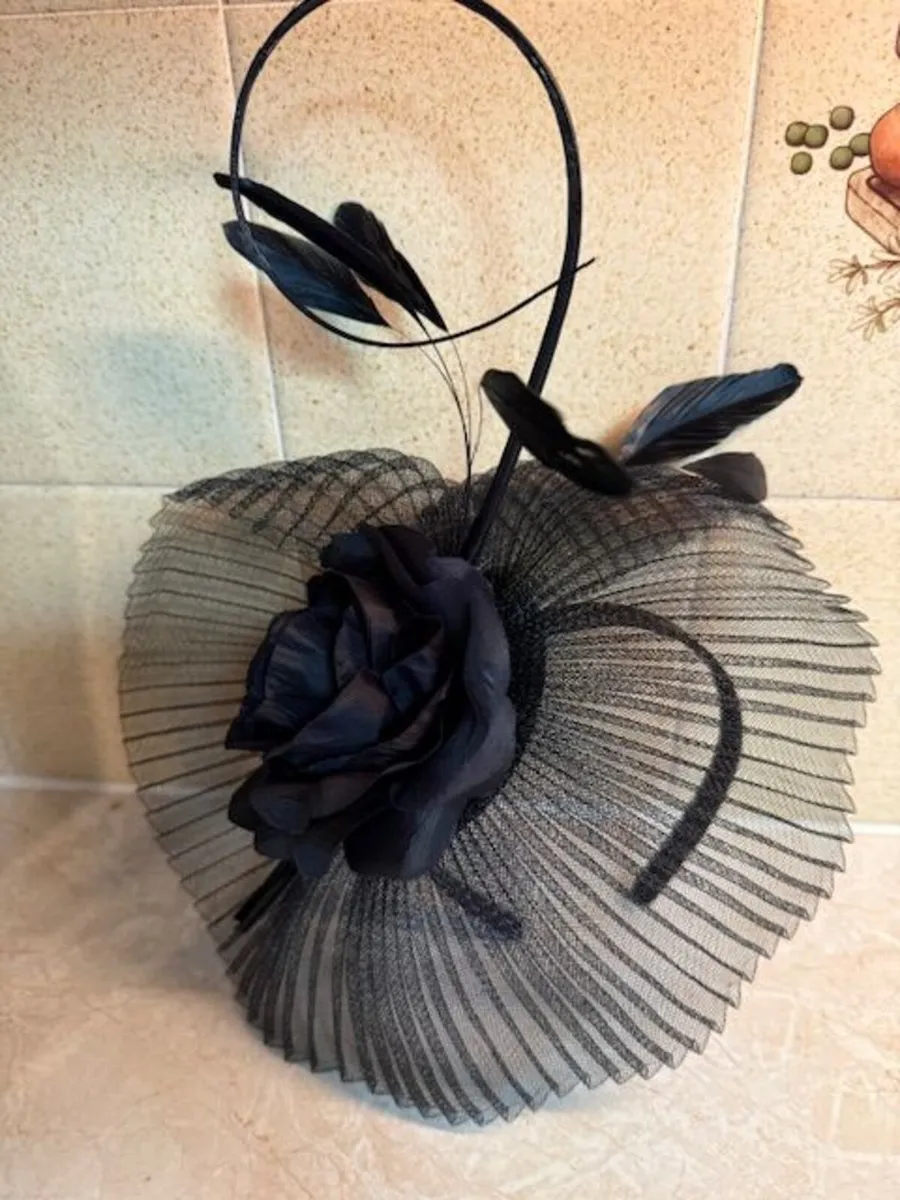 Fascinators - Image 1