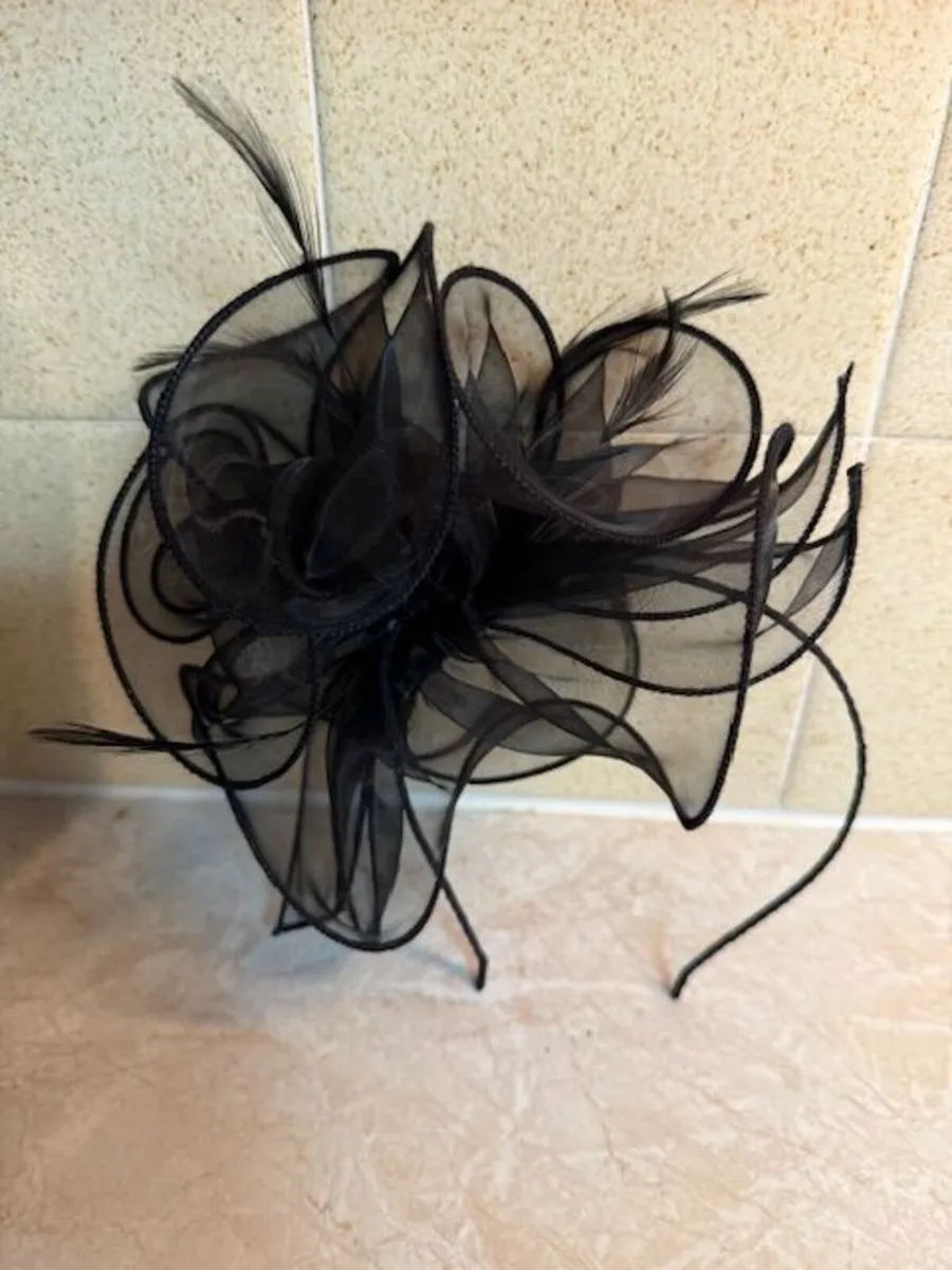 Fascinators - Image 4