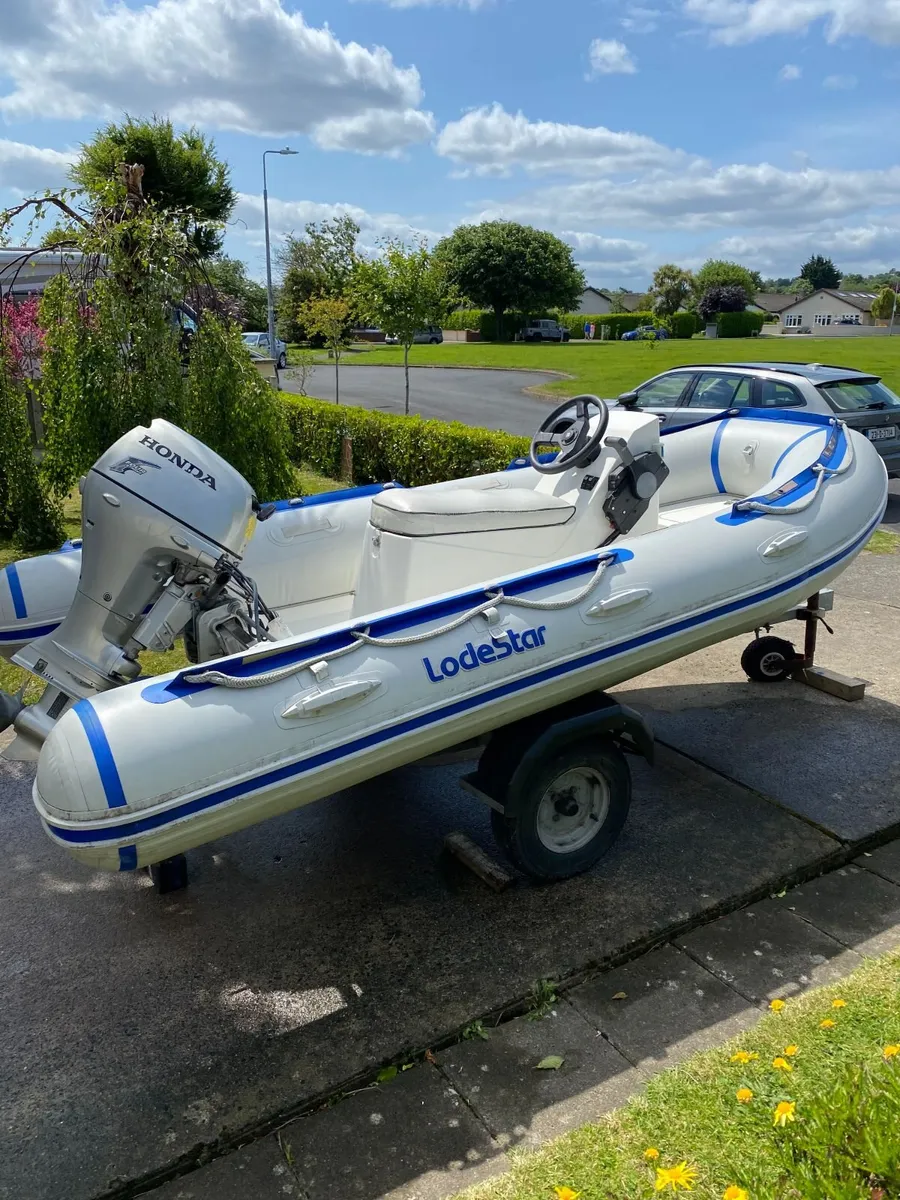 Rib For Sale - Image 2