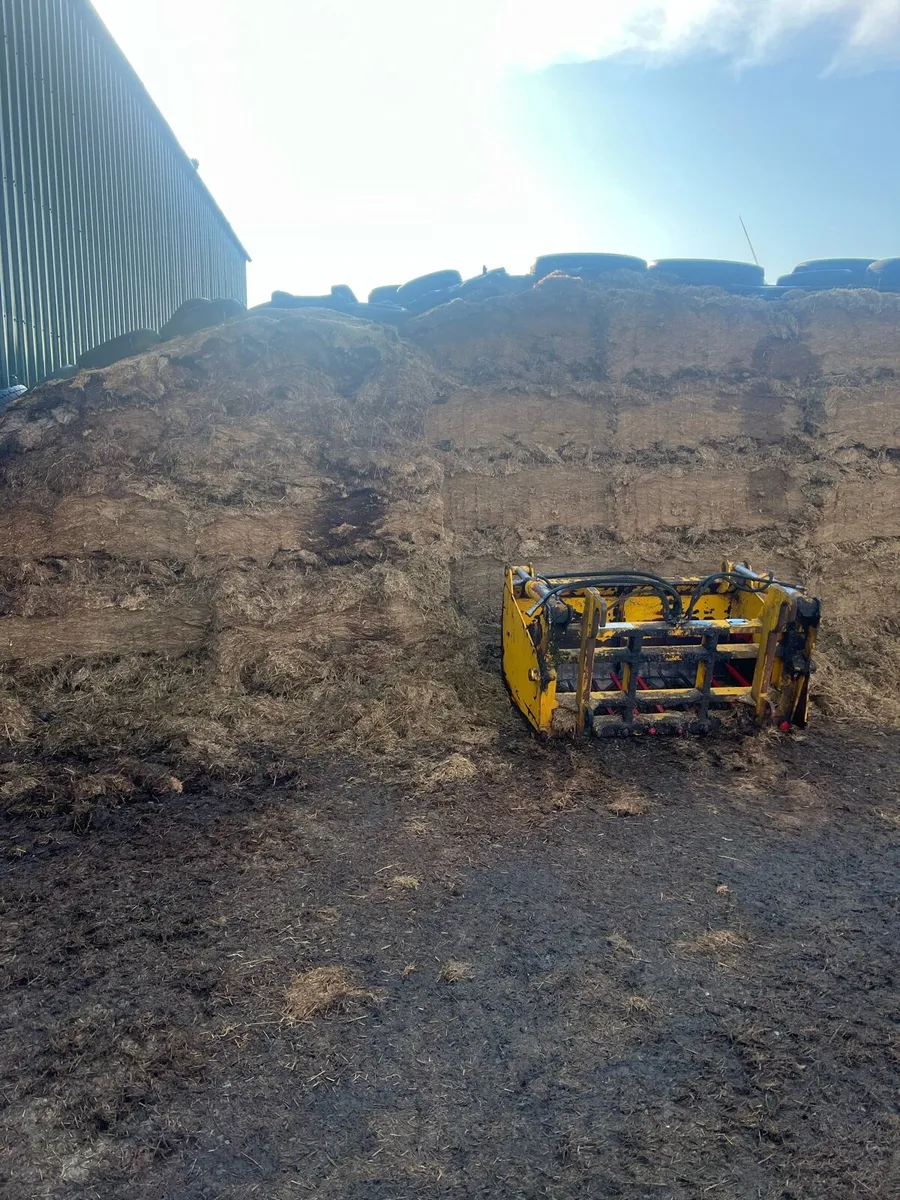 Silage - Image 2