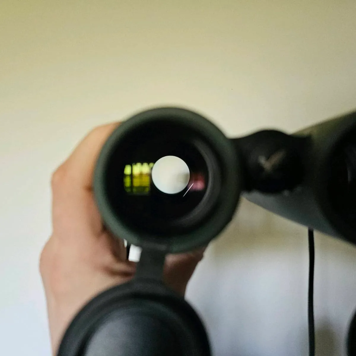 Swarovski 8.5 x 42 Field Pro BOXED - Image 3