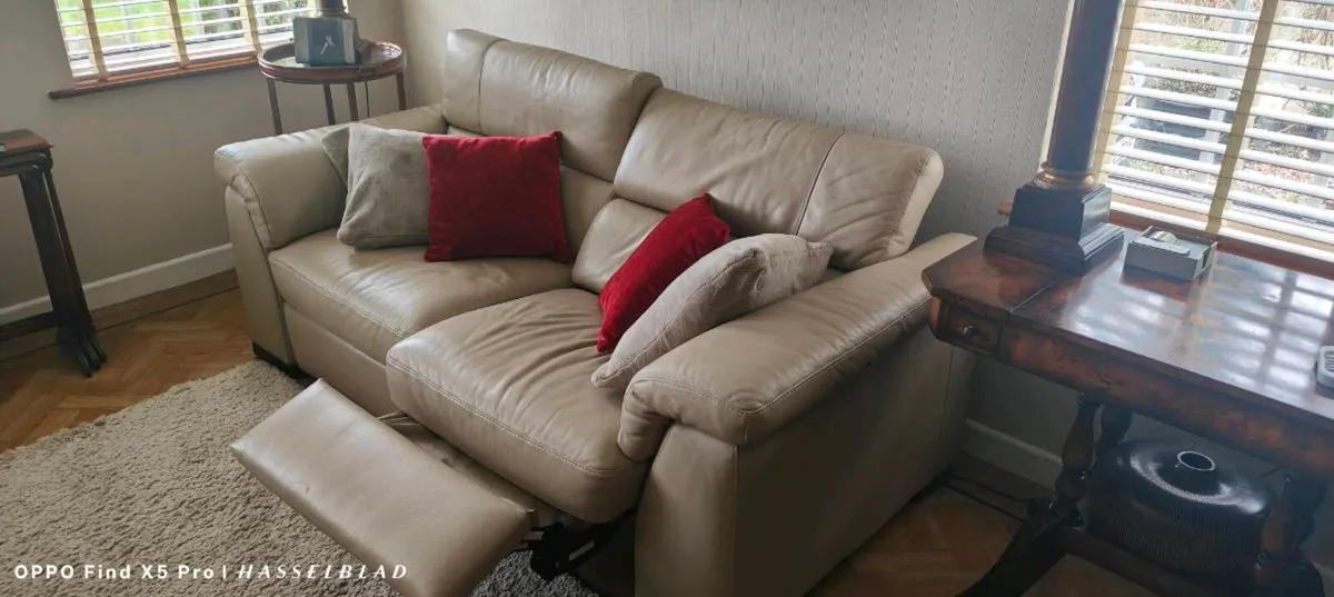 Sofa leather - Image 1