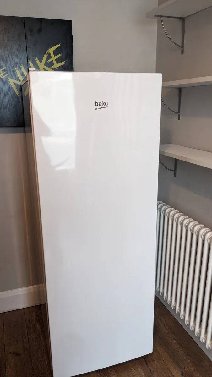 Standalone Freezer - Image 1