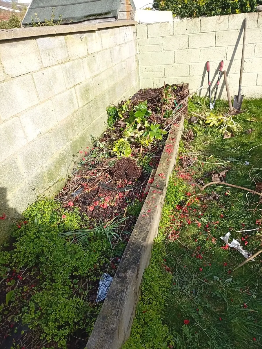 Garden clearance / grass cutting - Image 4