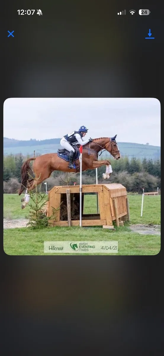 Top class Prospect - Image 3