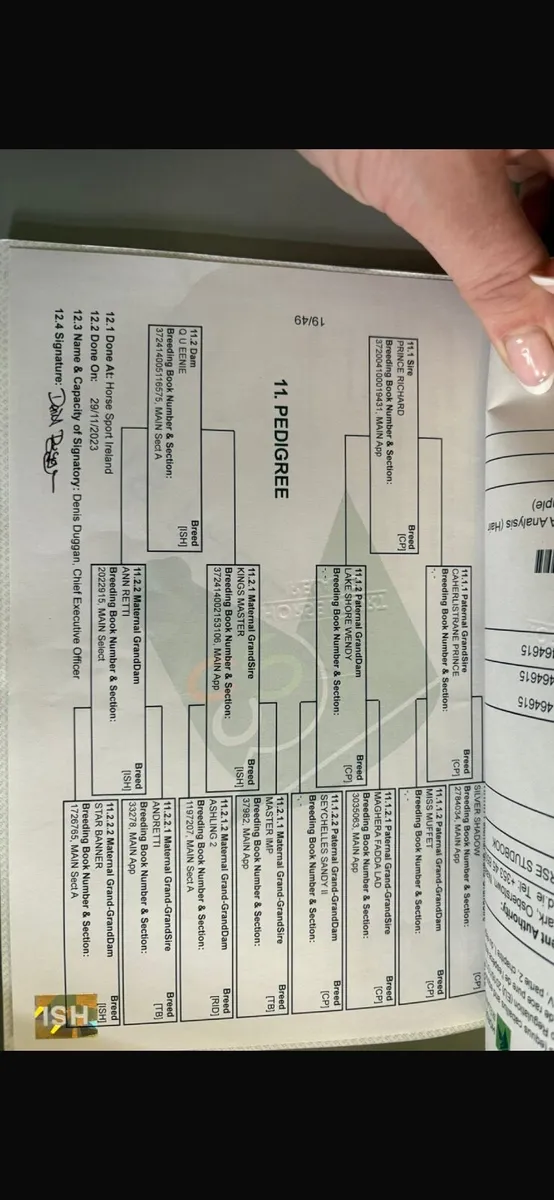 Top class Prospect - Image 4