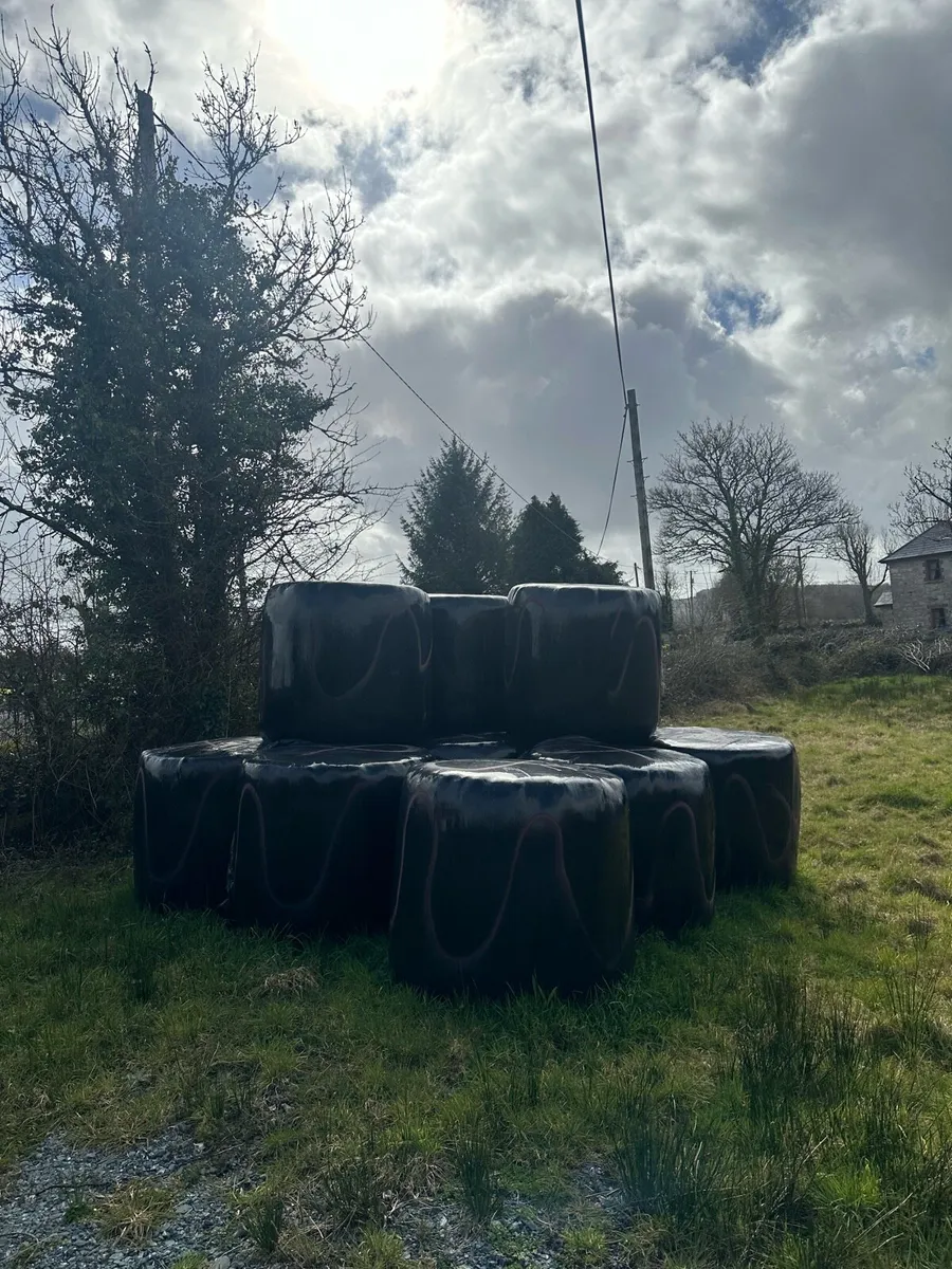 Bales of silage - Image 2