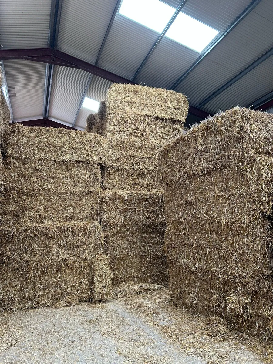 Straw - Image 1