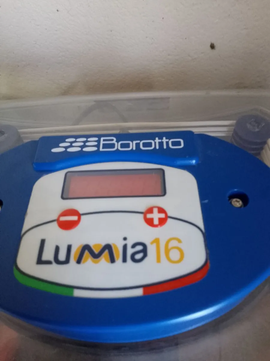 Chickens, incubator and heat plate - Image 4