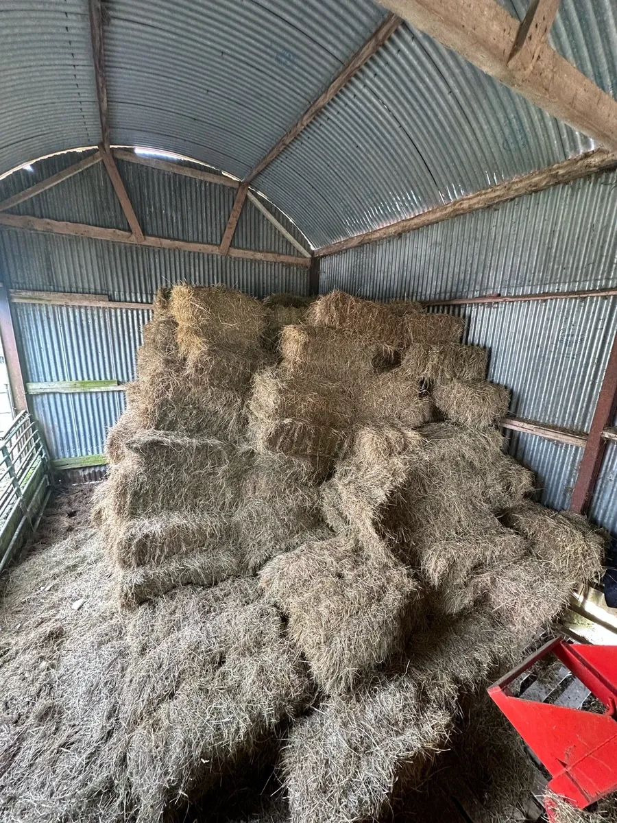 Small square bales of hay - Image 1