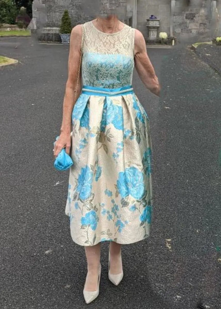 Mother of Bride/groom Dress - Image 3