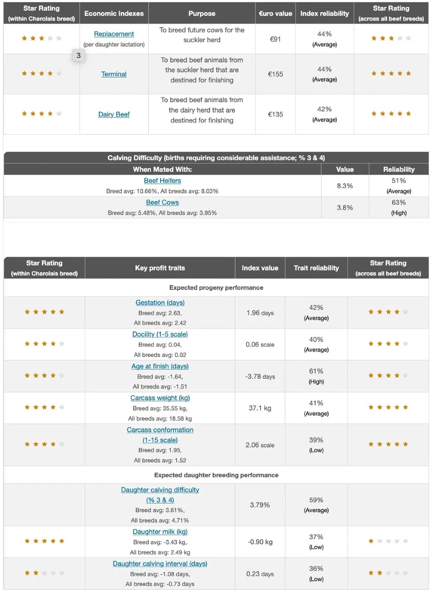 Easy Calving 5* Pedigree Charolais Bull - Image 4