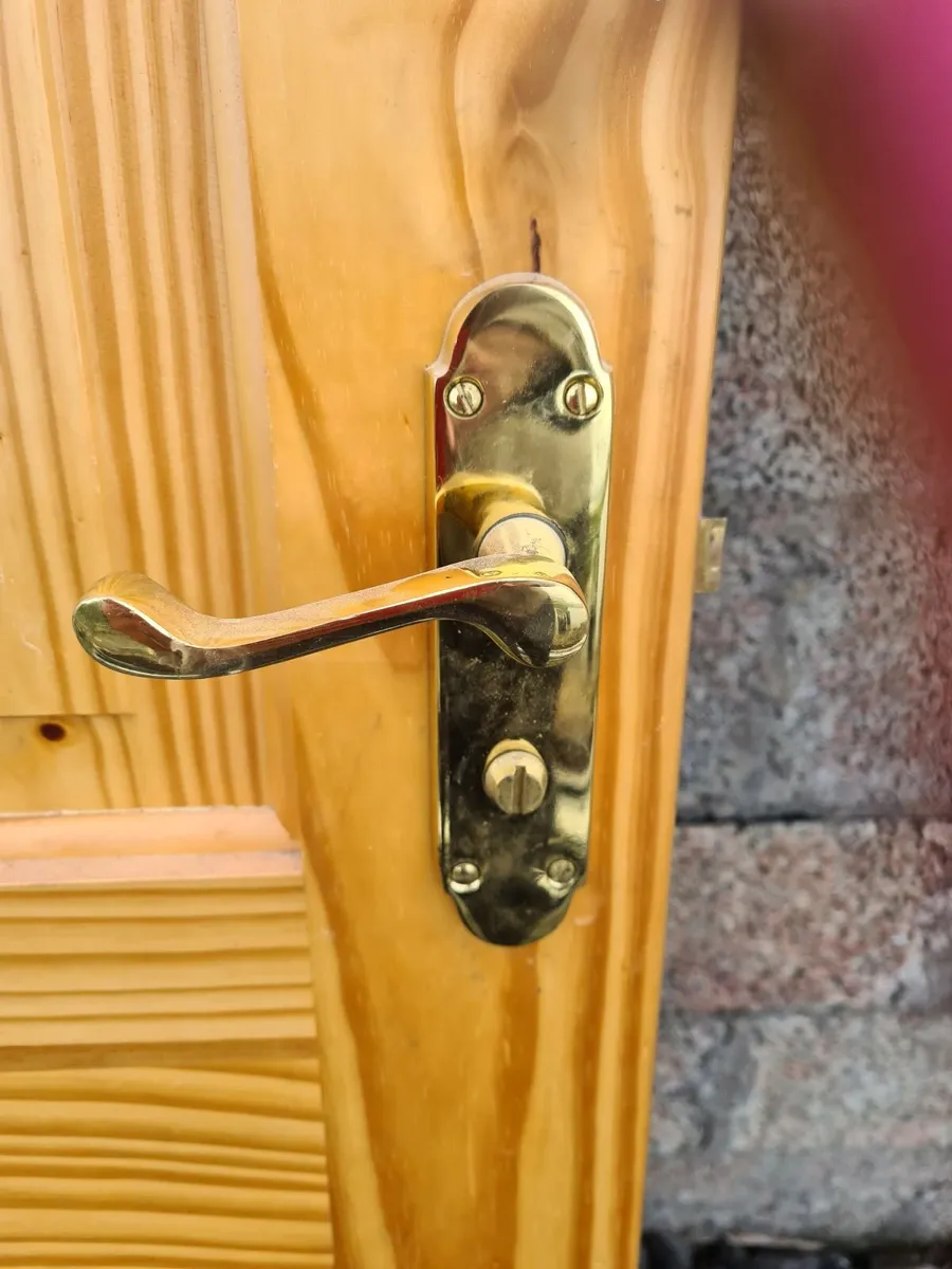 14 X Solid wood Pine Regency doors - Image 3