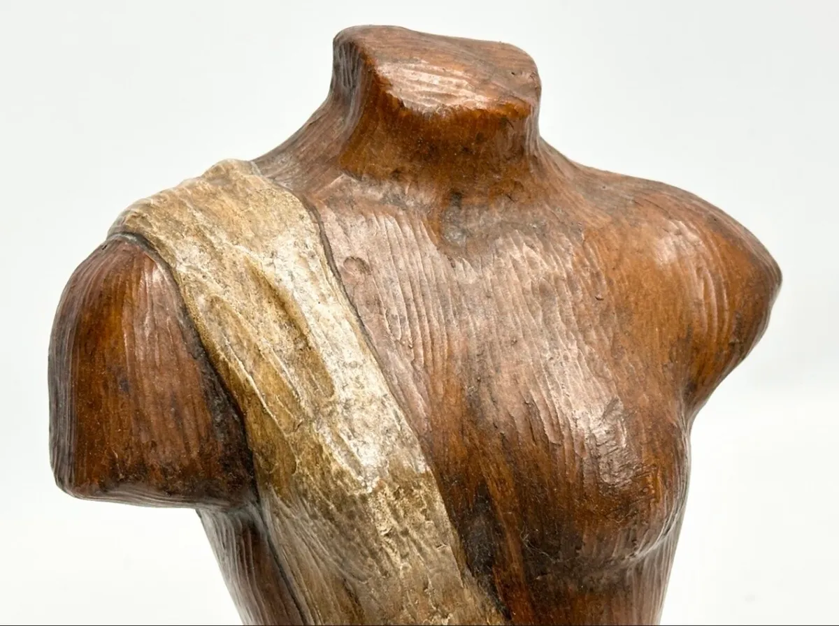 Superb Terracotta Bust of a Lady - Image 2