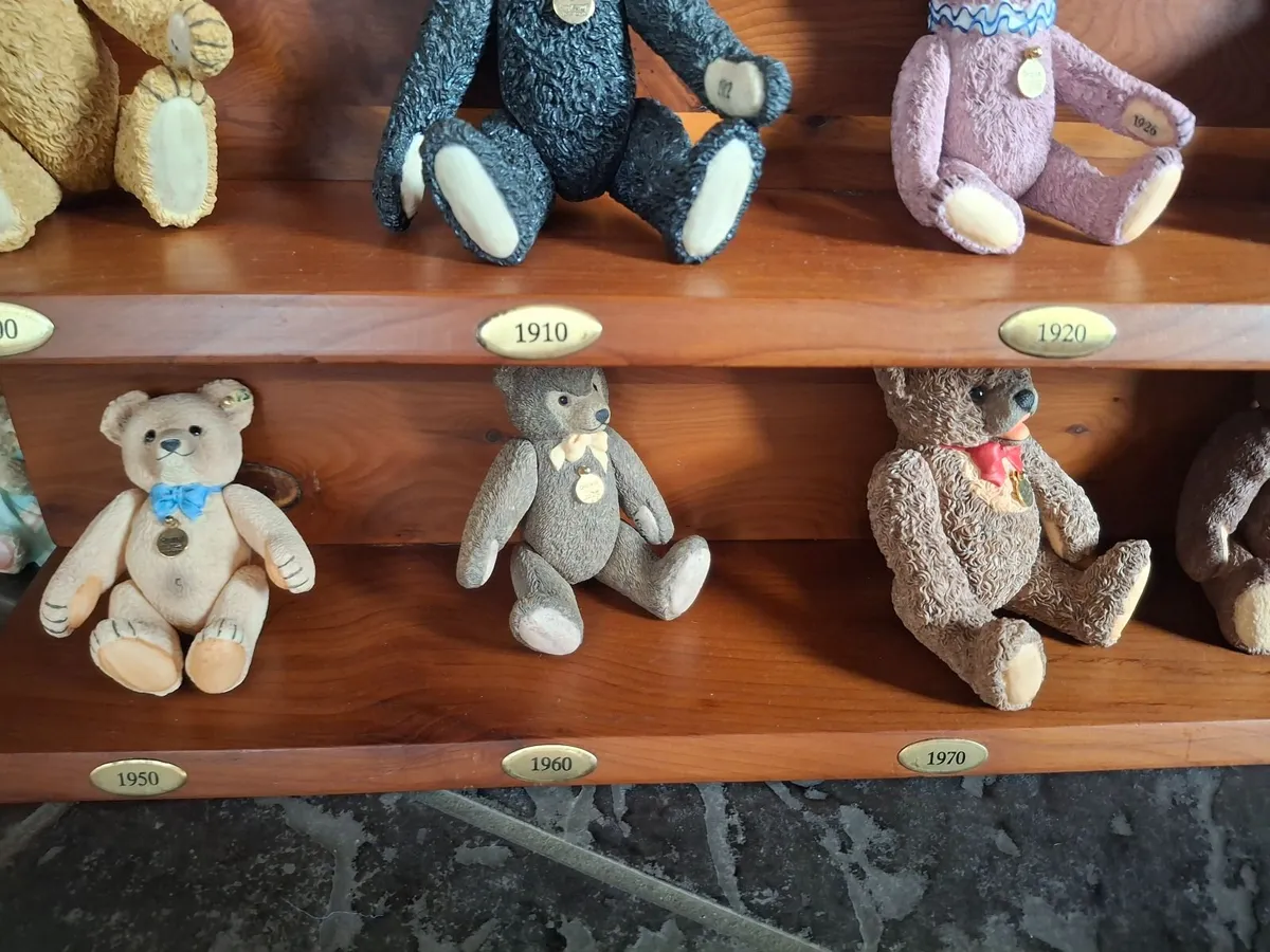 COMPLETE STEIFF "CENTURY" ARCHIVE – CORD-JOINTED - Image 4