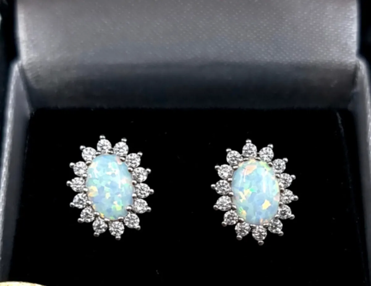 Stunning pair of Opal Stud Earrings