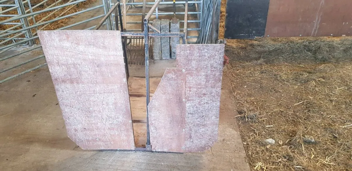 Lamb Adoption Crate - Image 2