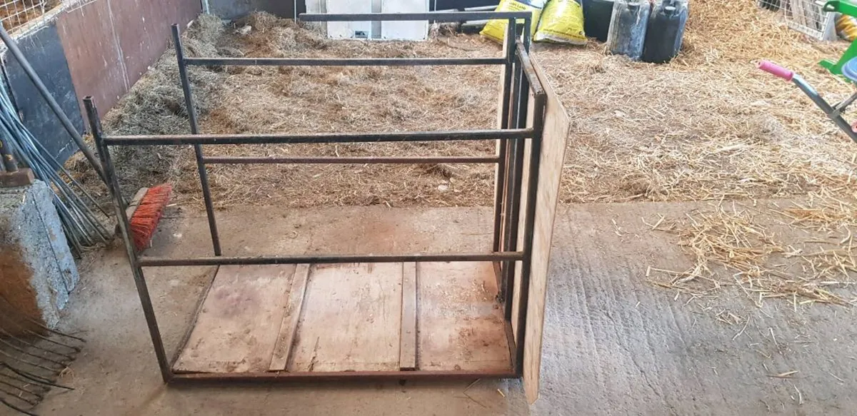 Lamb Adoption Crate - Image 3