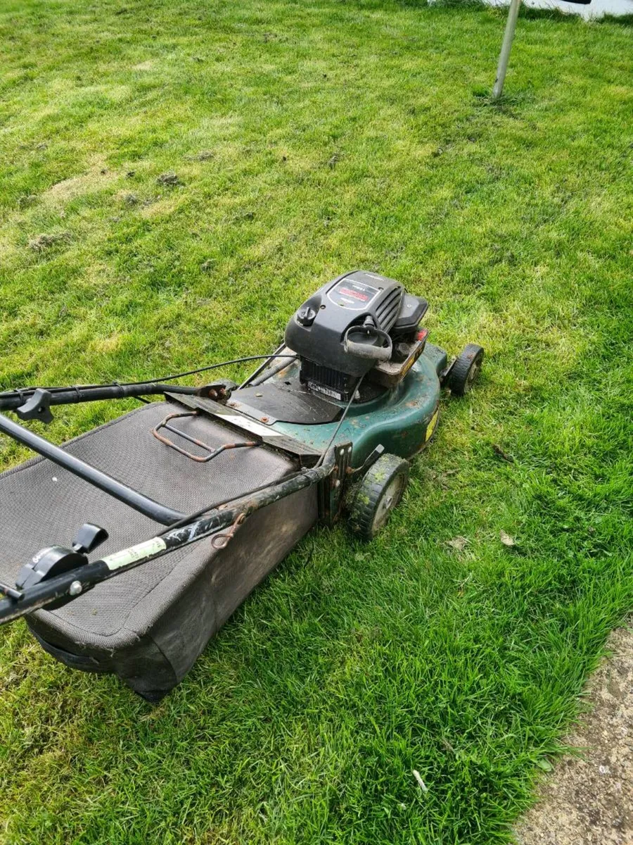 Prolawn petrol lawnmower - Image 3