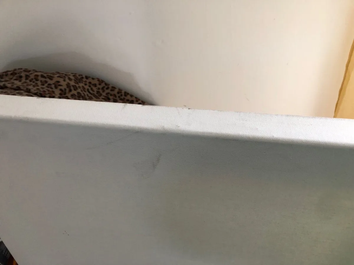 Blank canvas - Image 3