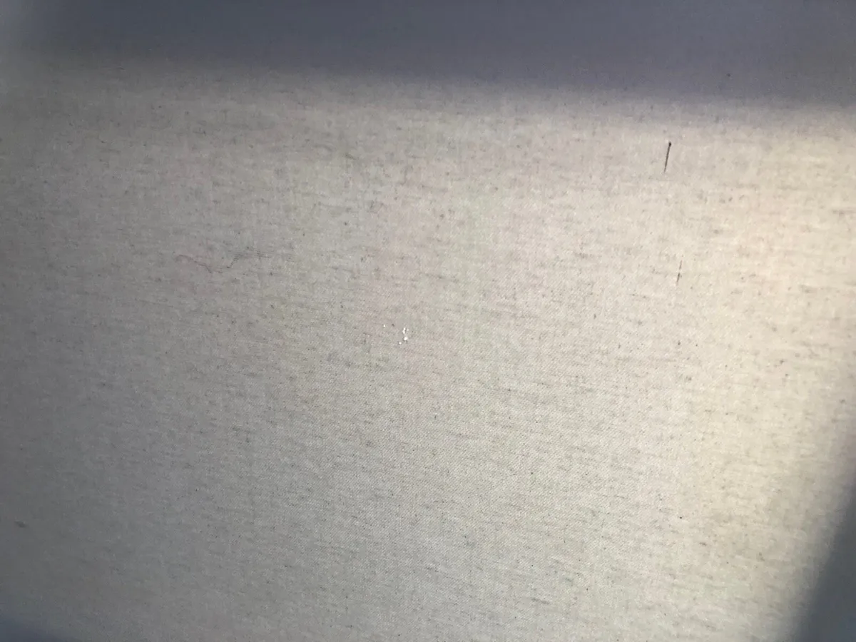 Blank canvas - Image 4