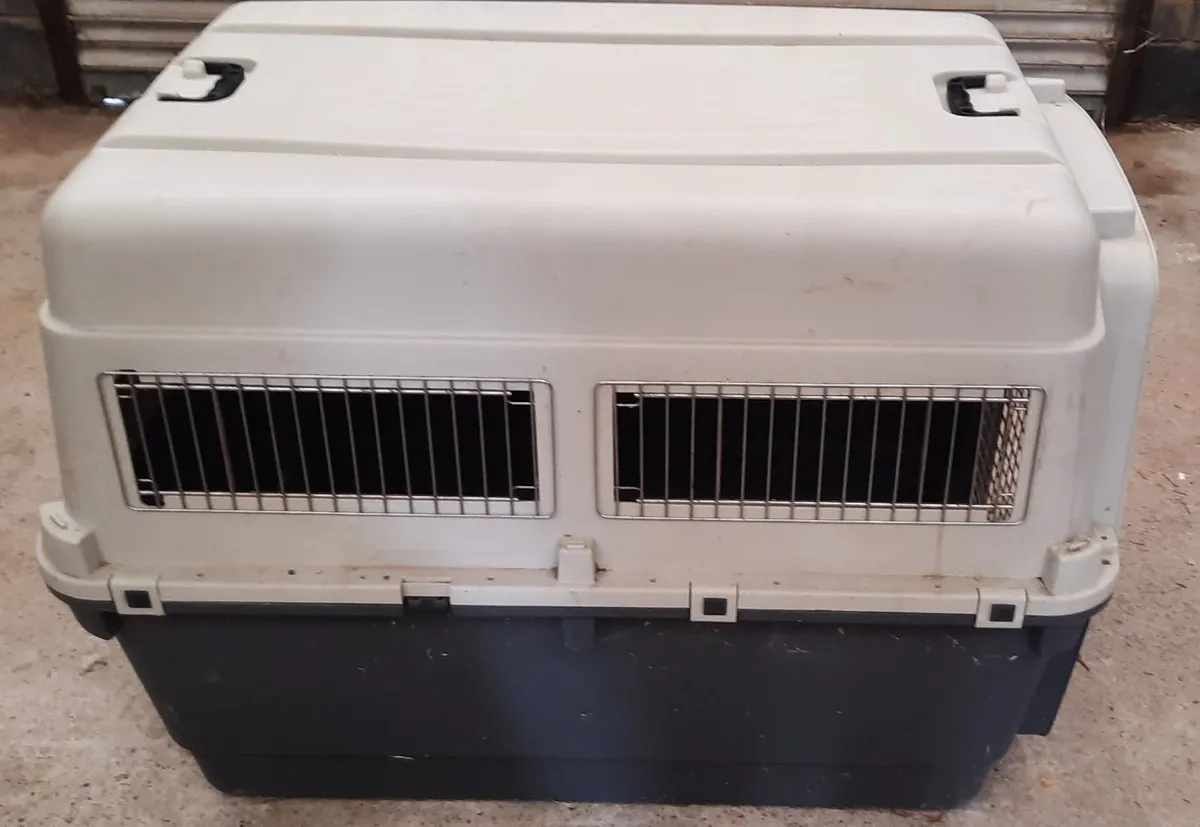 Dog / Pet crate / carrier - Image 2