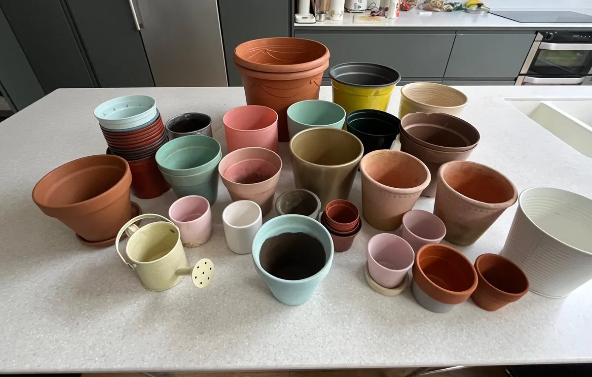 Collection of terracotta, ceramic and plastic pots - Image 1