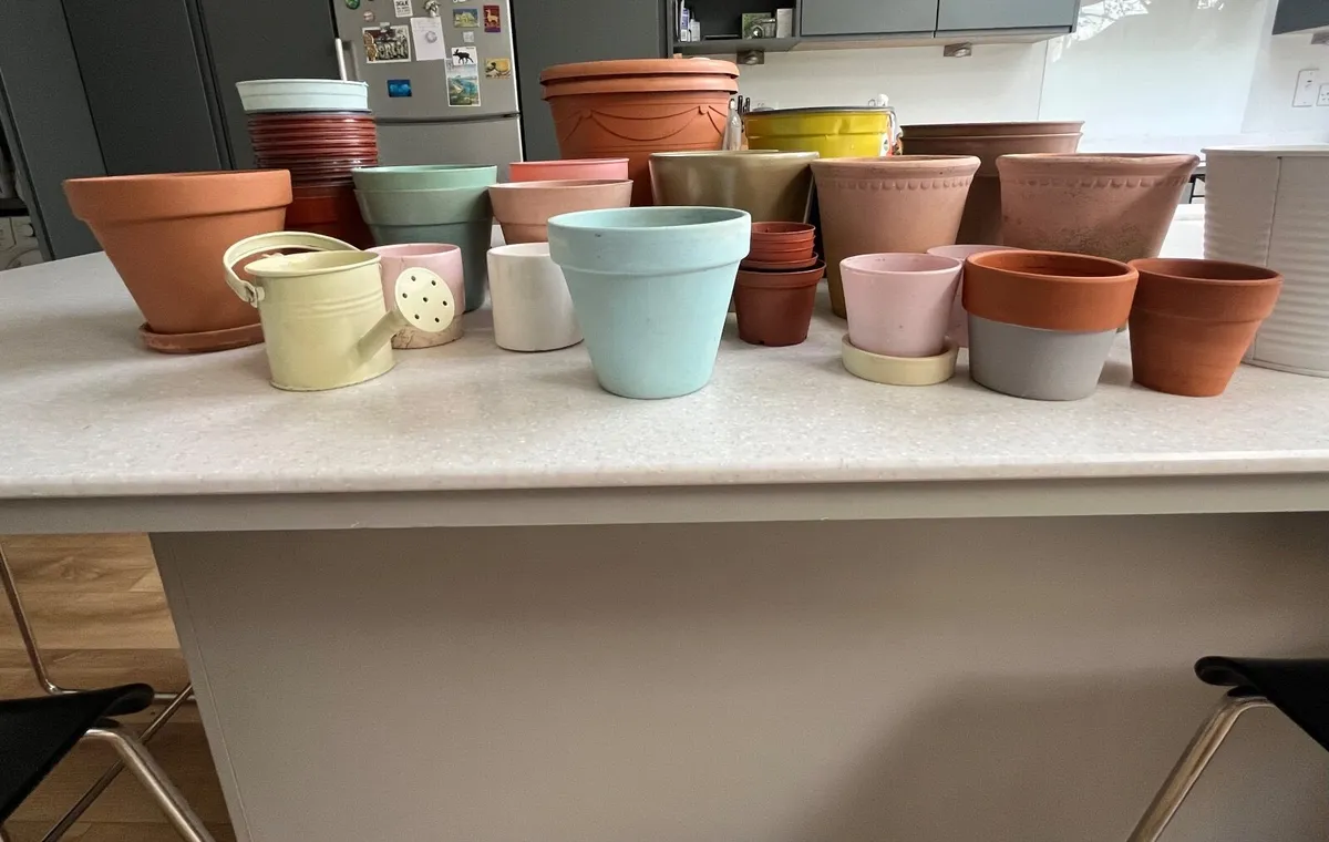 Collection of terracotta, ceramic and plastic pots - Image 3