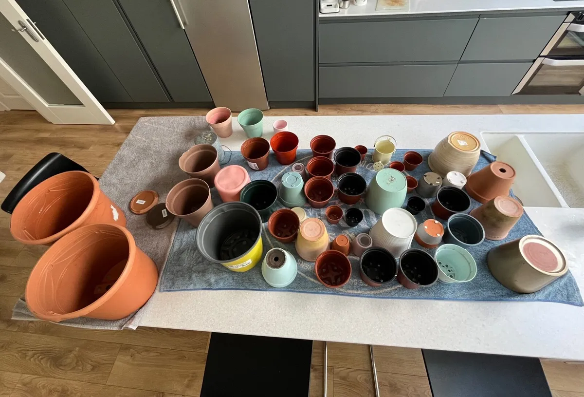 Collection of terracotta, ceramic and plastic pots - Image 2