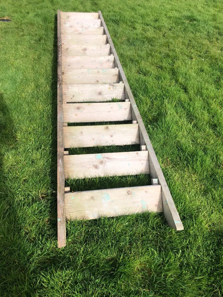 Builders/site ladder - Image 1