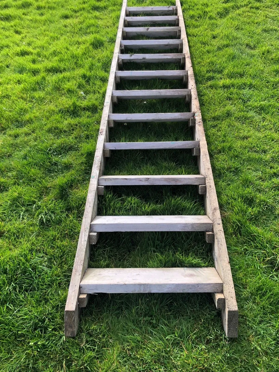 Builders/site ladder - Image 2