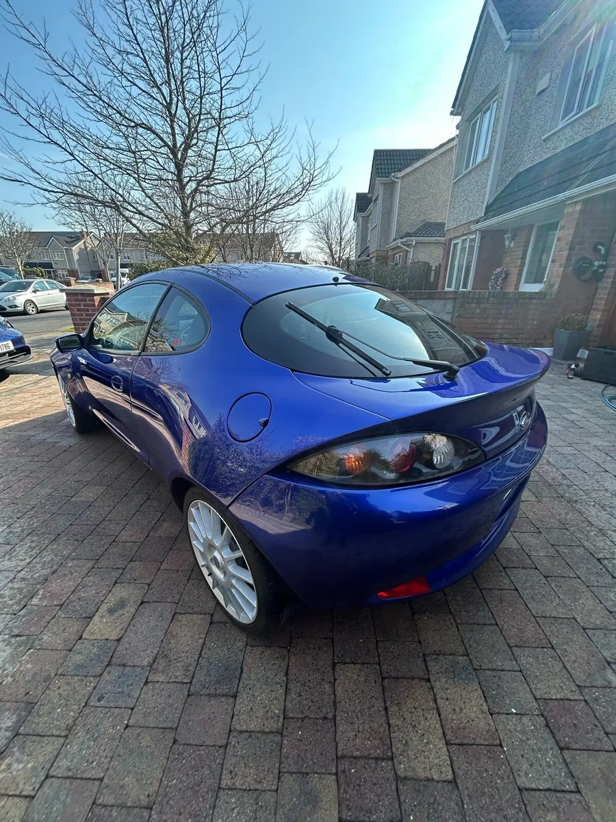 Ford Racing Puma - Image 4