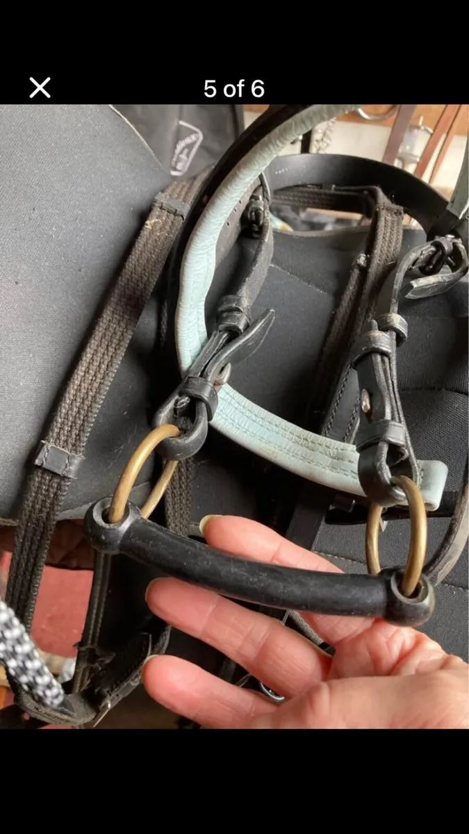 Saddle set - Image 3