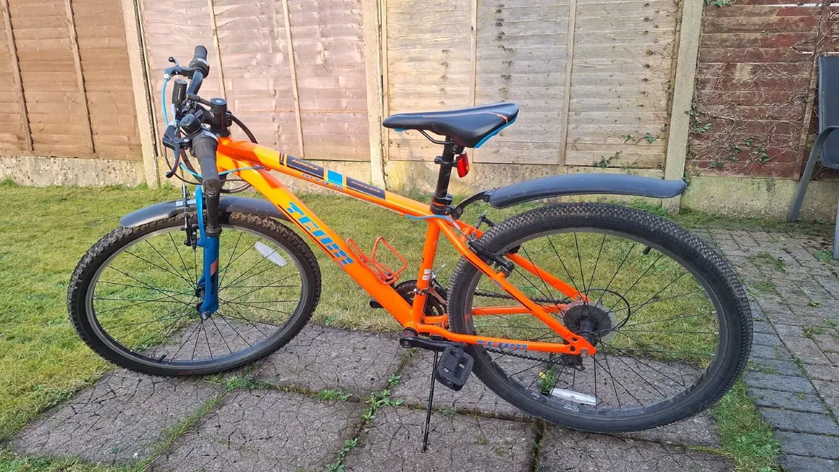 Mountain bike - Image 1