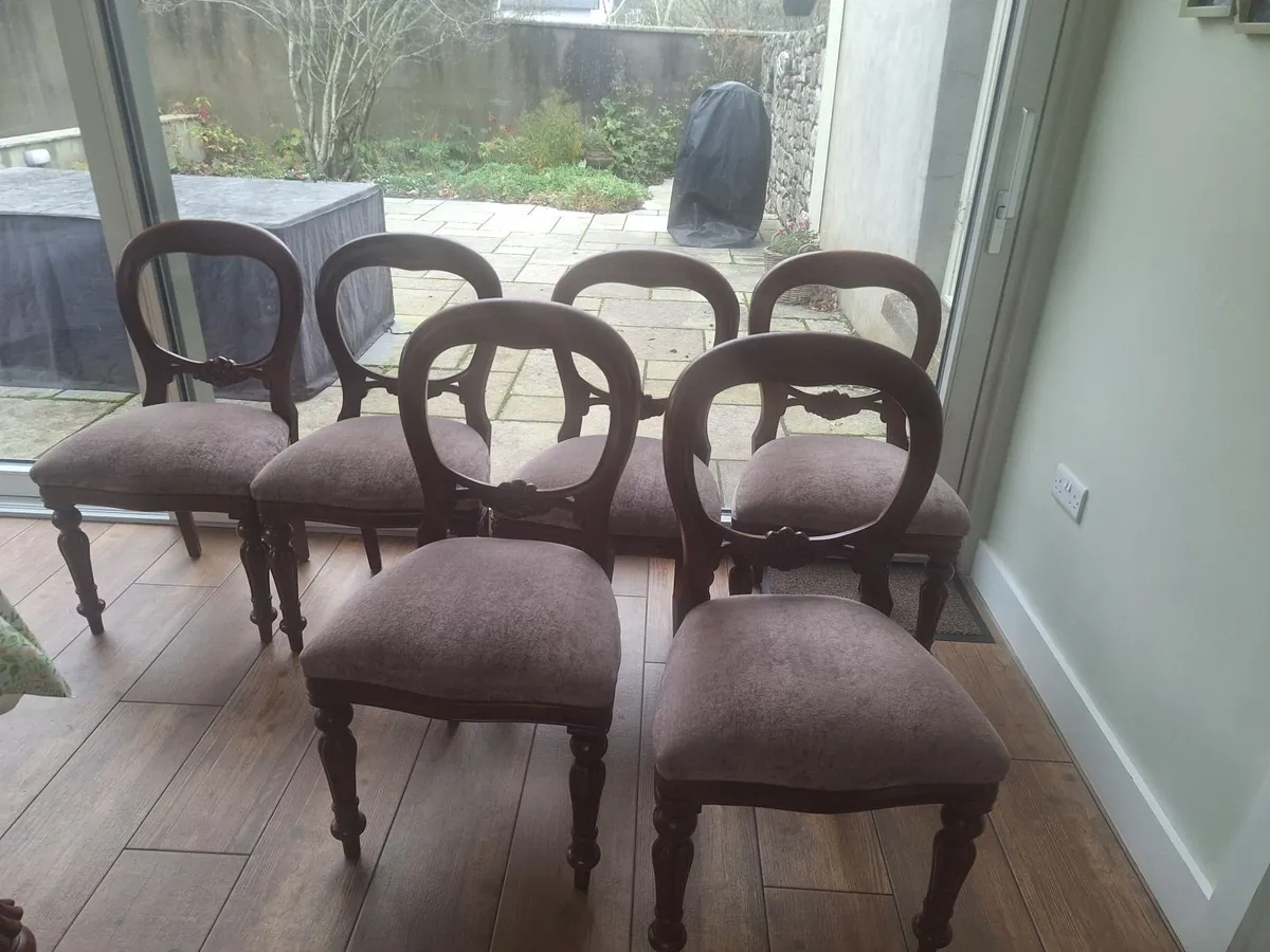 Set of  dining chairs - Image 4