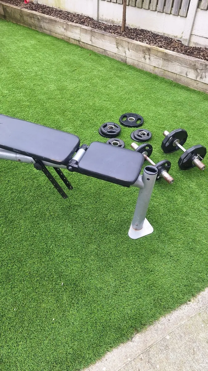 Adjustable dumbells and bench - Image 1