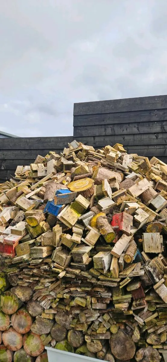Fire wood - Image 1