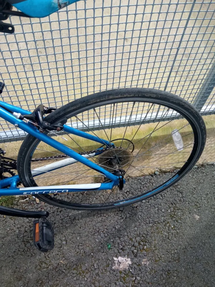 Carrera Zelos Jr - Image 3